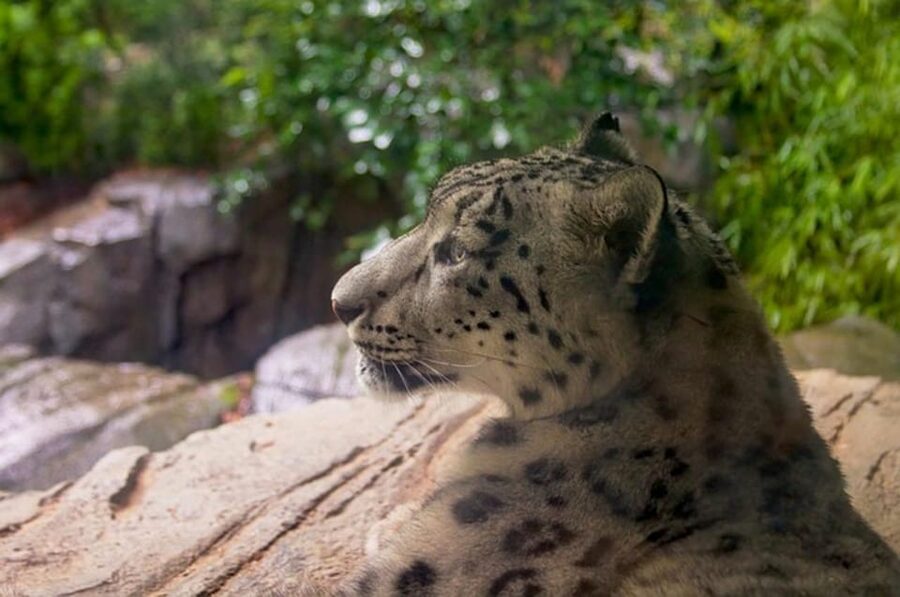 NYC: Central Park Zoo Entry Ticket & Manhattan Walking Tour - Practical tips to make your 5-hour day smoother