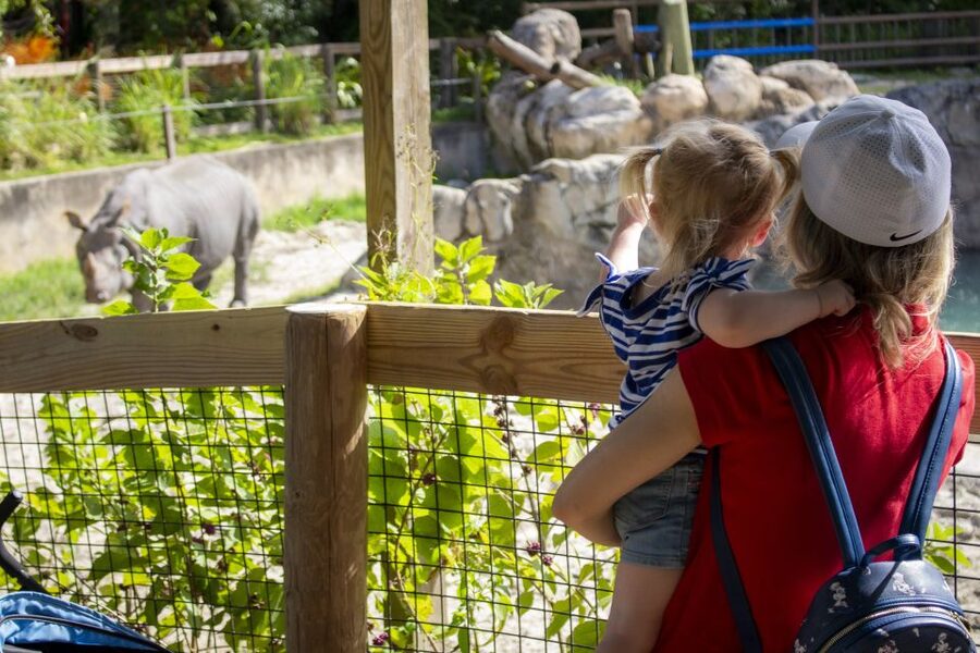 Orlando: Central Florida Zoo Skip-the-Line Ticket - Skip-the-line starts your day immediately