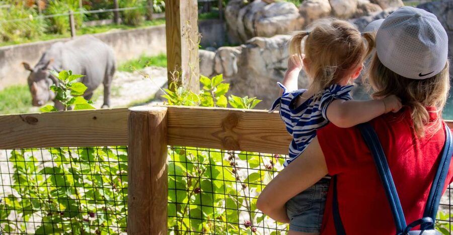 Orlando: Central Florida Zoo Skip-the-Line Ticket - Rare species you can actually plan around
