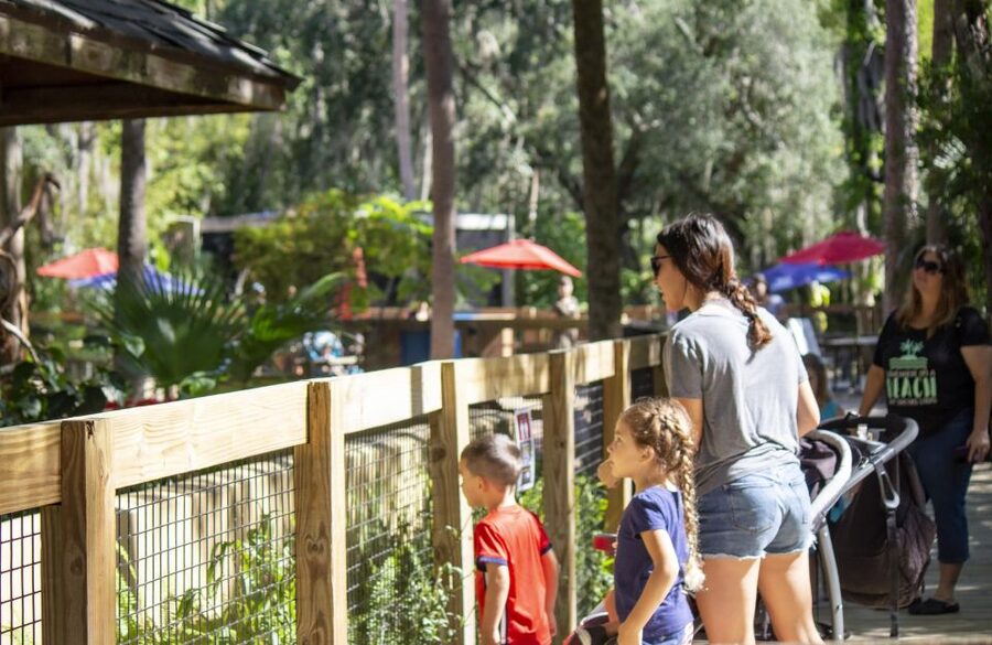 Orlando: Central Florida Zoo Skip-the-Line Ticket - Keeper chats and botanical gardens learning