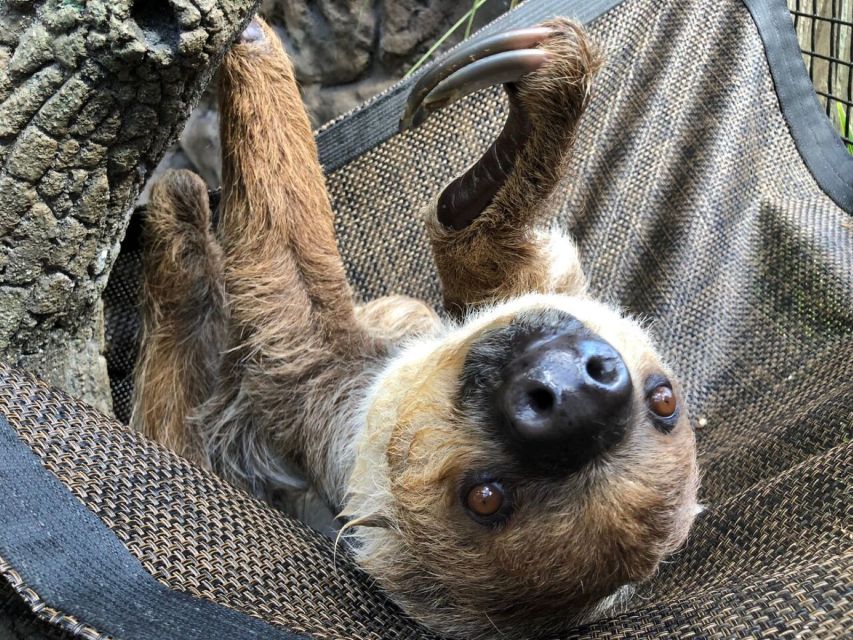 Orlando: Central Florida Zoo Skip-the-Line Ticket - Herpetarium and Barnyard Buddies: family-friendly variety