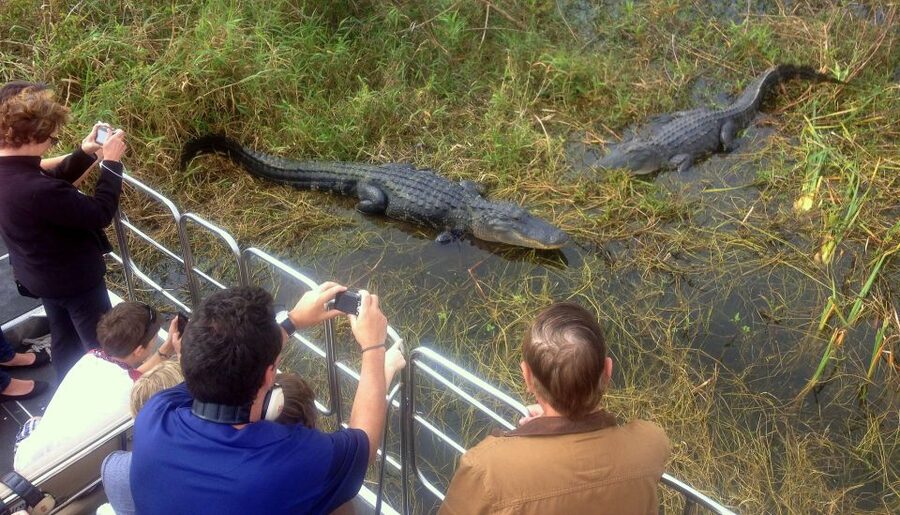 Orlando: Everglades Airboat Ride and Wildlife Park Ticket - FAQ