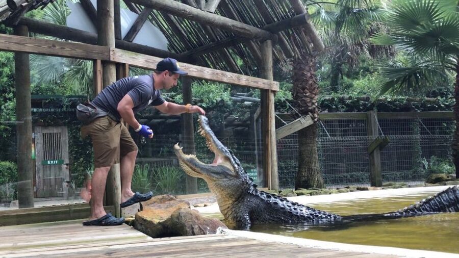 Orlando: Everglades Airboat Ride and Wildlife Park Ticket - Price and Value: Is $36 Worth It Compared to Orlando Options?