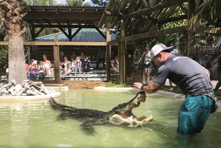 Orlando: Everglades Airboat Ride and Wildlife Park Ticket - Who Should Book This Orlando Everglades Airboat Tour?