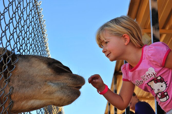 Out of Africa Wildlife Park Admission Ticket - Price vs. What’s Not Included: Budget Smart Before You Go