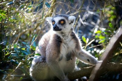 Pafos Zoo Ticket - Where to start in Paphos (and why ending back there helps)