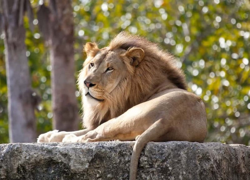 Paphos: Zoo Visit and Blue Lagoon Cruise with Guide & Lunch - Key takeaways before you go