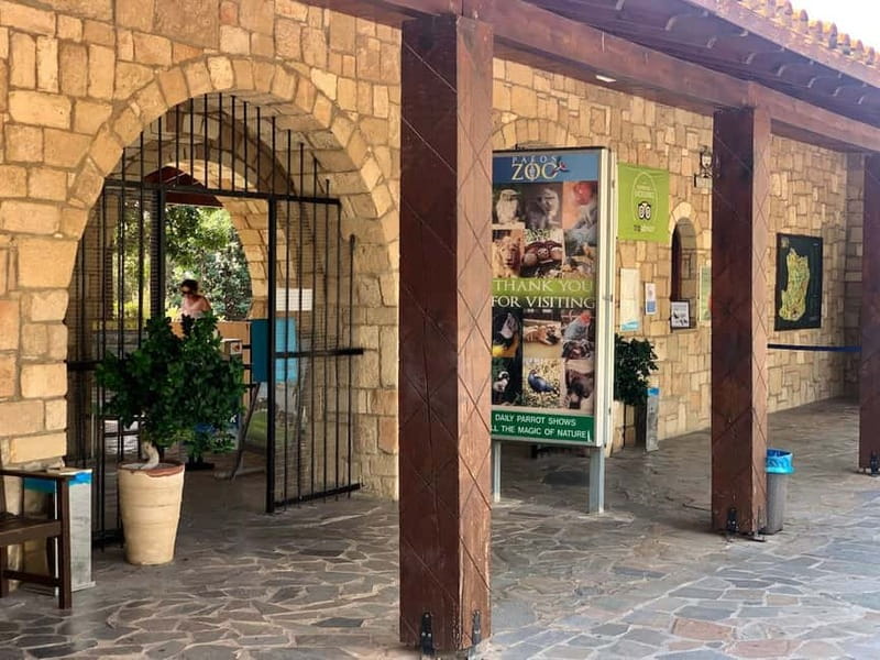 Paphos: Zoo Visit and Blue Lagoon Cruise with Guide & Lunch - Lunch at Flamingo Restaurant: included, but manage expectations