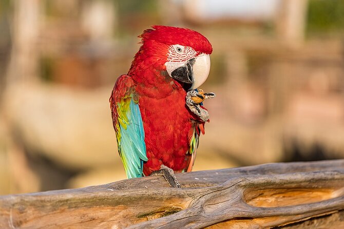 Parrot World Immersive Wildlife Park Entry Ticket next to Paris - Entering Parrot World: the South America feel starts fast