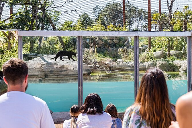 Parrot World Immersive Wildlife Park Entry Ticket next to Paris - Kids’ paradise: playground + picnic area makes it easy