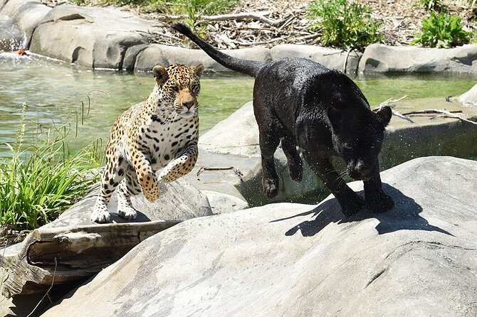 Parrot World Immersive Wildlife Park Entry Ticket next to Paris - Price and value: $24.20 for species, learning, and family facilities