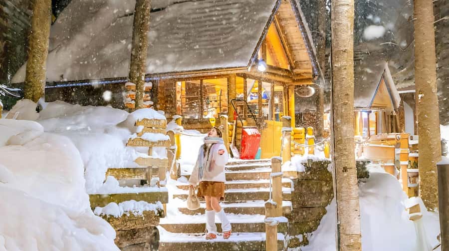Penguin Fun & Snowmobile : Sapporo Winter (Asahiyama Zoo) - Ningle Terrace: snowy crafts in a storybook setting (plus the Takushinkan backup)