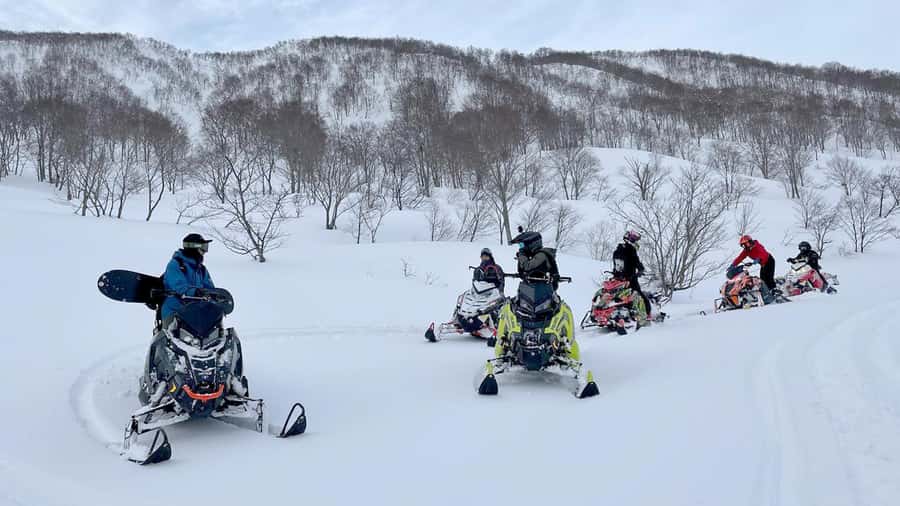 Penguin Fun & Snowmobile : Sapporo Winter (Asahiyama Zoo) - Ken & Mary Tree: quick pause, iconic snow weight