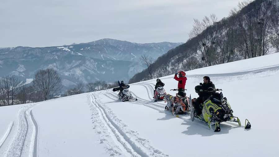 Penguin Fun & Snowmobile : Sapporo Winter (Asahiyama Zoo) - Price and value: is $58 worth it?