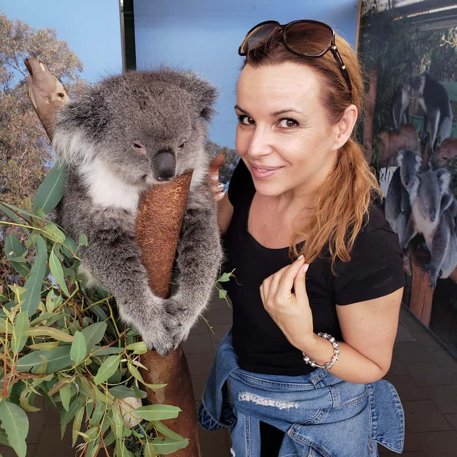 Perth Wildlife Park & City Highlights - Small Group Tours - Key highlights at a glance