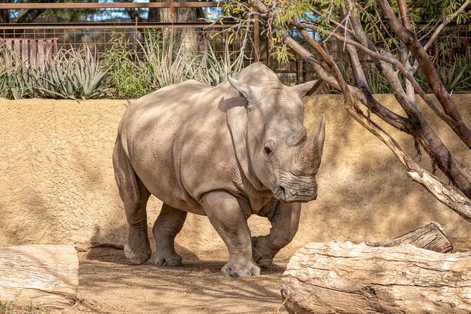 Phoenix Zoo Admission Ticket - Phoenix Zoo in Papago Park: What Your One-Day Ticket Really Buys