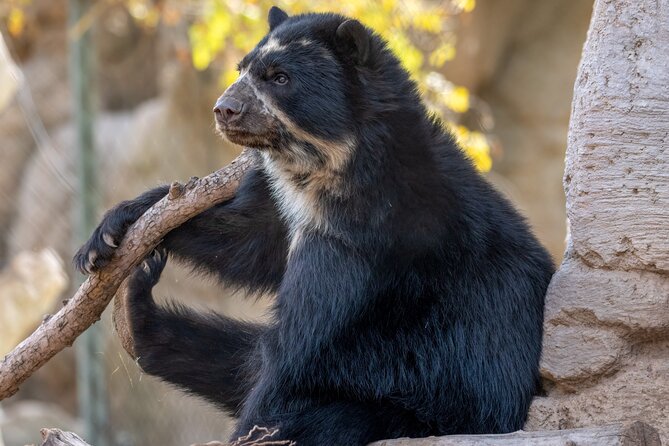 Phoenix Zoo Admission Ticket - Timing Matters in Phoenix: Morning Plans and Heat Reality