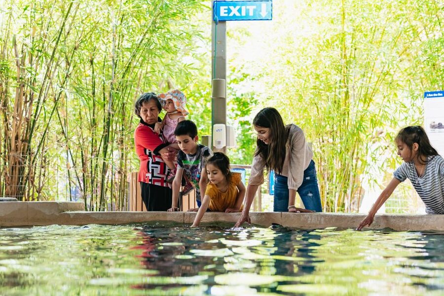 Phoenix Zoo One Day General Admission Ticket - Phoenix Zoo Tickets: What You’re Actually Buying
