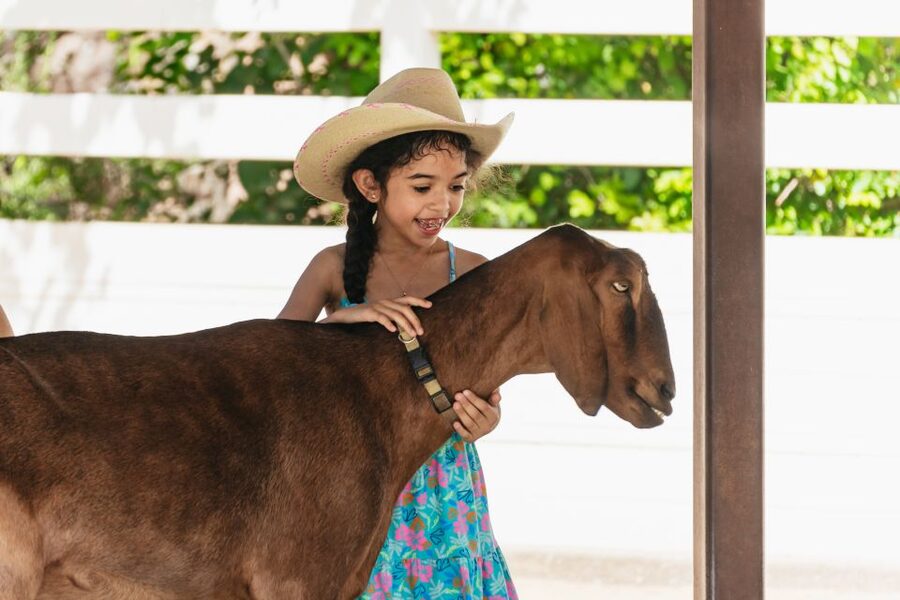 Phoenix Zoo One Day General Admission Ticket - How the Zoo Turns Animal Sightings Into Conservation Learning