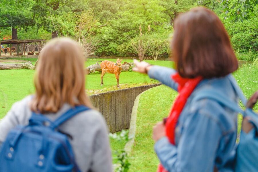 Prague: Boat Ride to the Zoo and Admission Ticket - Price and Value: Is $74 a Fair Deal?
