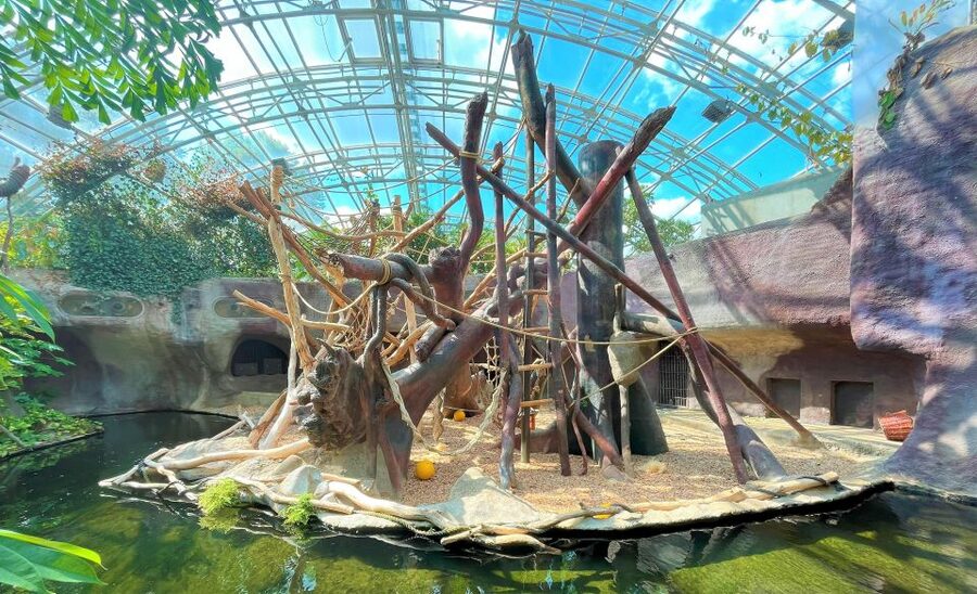Prague: Prague Zoo Audio Guide with E-Ticket - Should You Book This Prague Zoo Audio Guide?