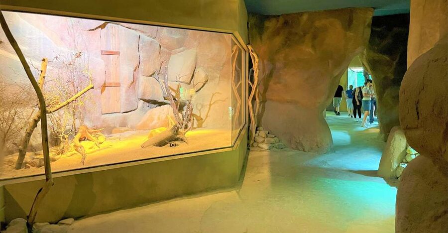 Prague: Prague Zoo Audio Guide with E-Ticket - Prague Zoo Audio Guide in Troja: The Real Advantage Is Direction