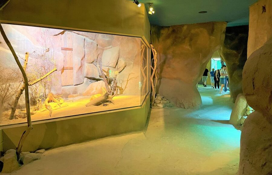 Prague: Prague Zoo Audio Guide with E-Ticket - Where to Start: Main Entrance at U Trojského zámku
