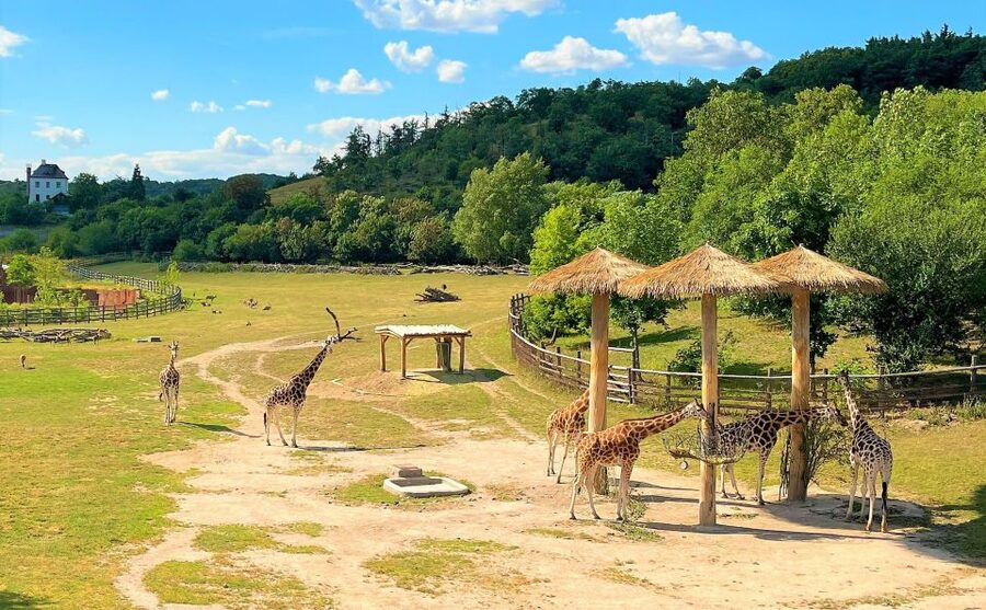 Prague: Prague Zoo Audio Guide with E-Ticket - Price and Value: Is $22 Worth It?