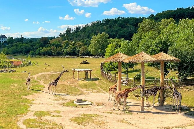Prague Zoo Ticket with Online Audio Guide - What you’ll learn as you walk: history, pavilions, and smarter routing