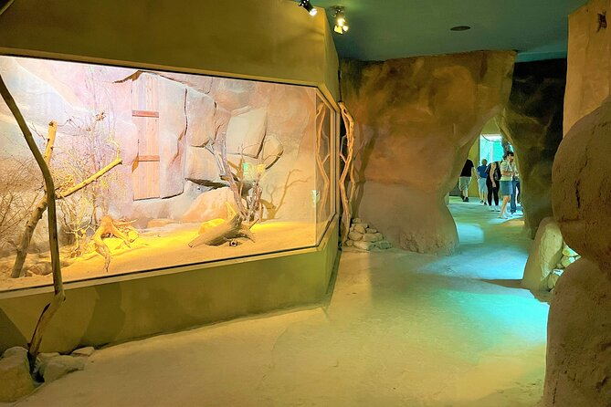 Prague Zoo Ticket with Online Audio Guide - Why Prague Zoo gets so much attention (and what to look for)