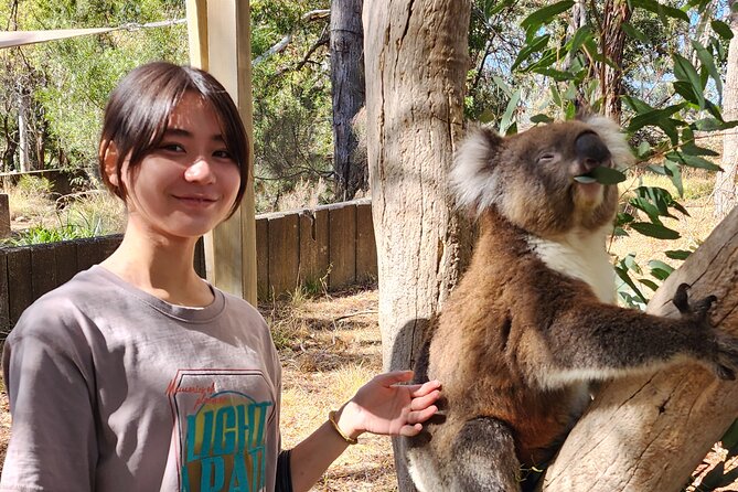 Premium Adelaide Hills Cleland Wildlife and Hahndorf Minibus Tour - Hahndorf with breathing room: lunch, shops, and a history stop