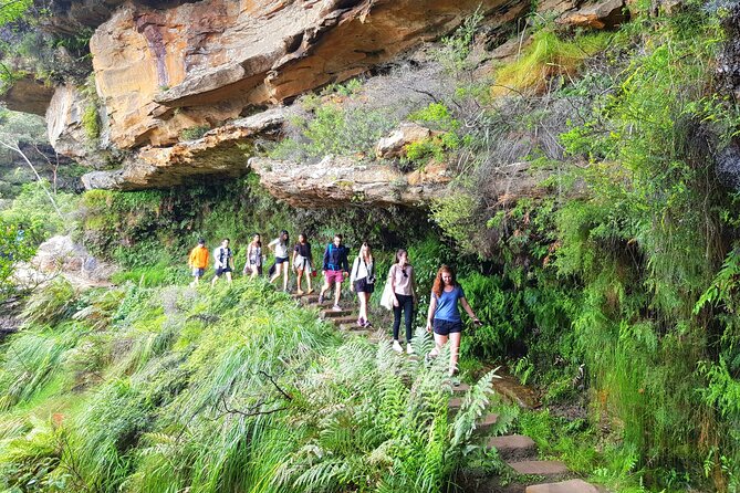 PRIVATE Blue Mountains Tour, Wildlife Park and River Cruise - World Heritage National Park and the Scenic World Area