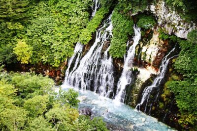 【Private Car】Asahiyama Zoo, Blue Pond, Shirahige Falls, Ningle Terrace (from Sapporo) - Asahiyama Zoo: Your 2-Hour Anchor Stop