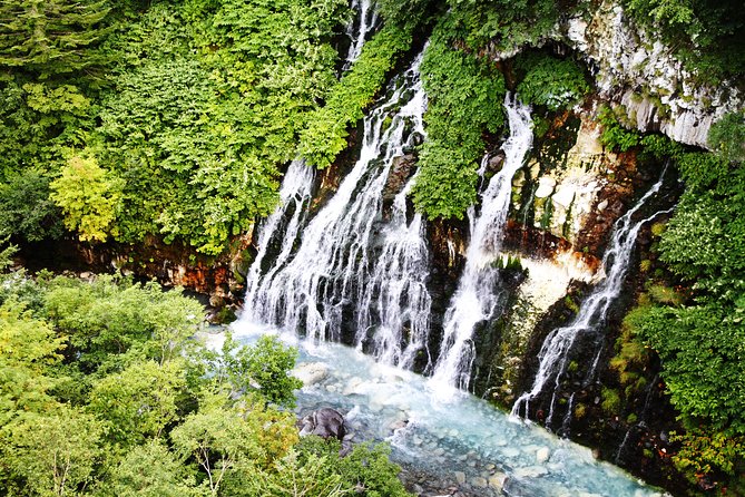 【Private Car】Asahiyama Zoo, Blue Pond, Shirahige Falls, Ningle Terrace (from Sapporo) - Asahiyama Zoo: Your 2-Hour Anchor Stop