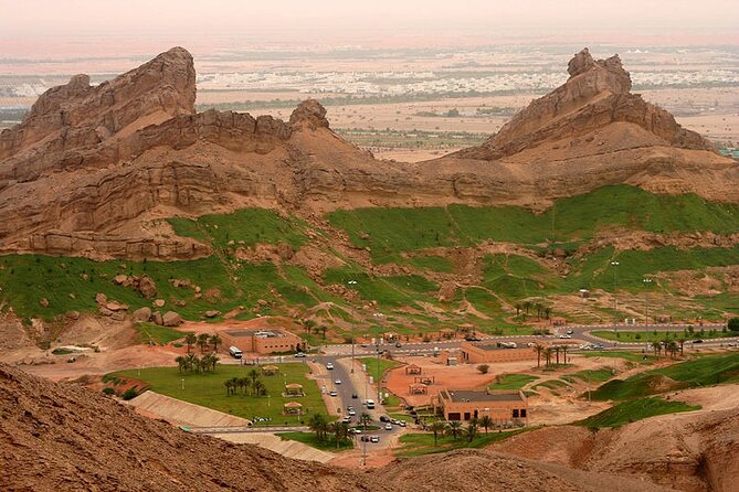 Private Garden City Tour with Zoo Ticket at Al Ain - Stop 1: Al Ain Zoo and the animal experiences that actually get you close