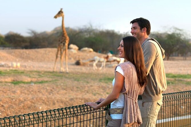 Private Garden City Tour with Zoo Ticket at Al Ain - Stop 4: Al Jahili Fort and the park setting
