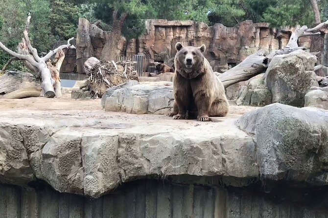 Private Half Day Tour To The Zoo In Giza - The half-day timing: plan for a focused animal walk