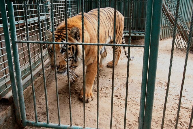 Private Half Day Tour To The Zoo In Giza - A quick reality check: what you can expect at Giza Zoo