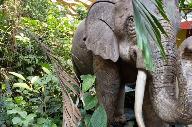 Private Half Day Tour To The Zoo In Giza - The 120 acres: why size and age change the visit