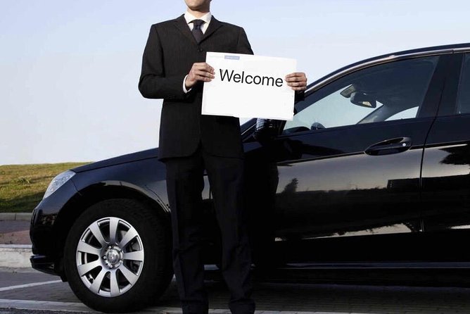 Private Transfer between Shanghai Zoo and City Hotels - Key things I’d mark as especially good