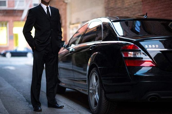 Private Transfer between Shanghai Zoo and City Hotels - Arrival at Shanghai Zoo: Tickets, Timing, and First Photos