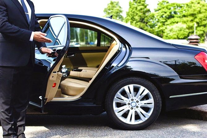 Private Transfer between Shanghai Zoo and City Hotels - What You’ll Actually See: Pandas, Tigers, Monkeys, and More