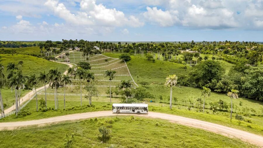 Punta Cana: Xploration Animal Park Bus Tour with Encounters - Farm animals, feeding time, and the dog rescue connection