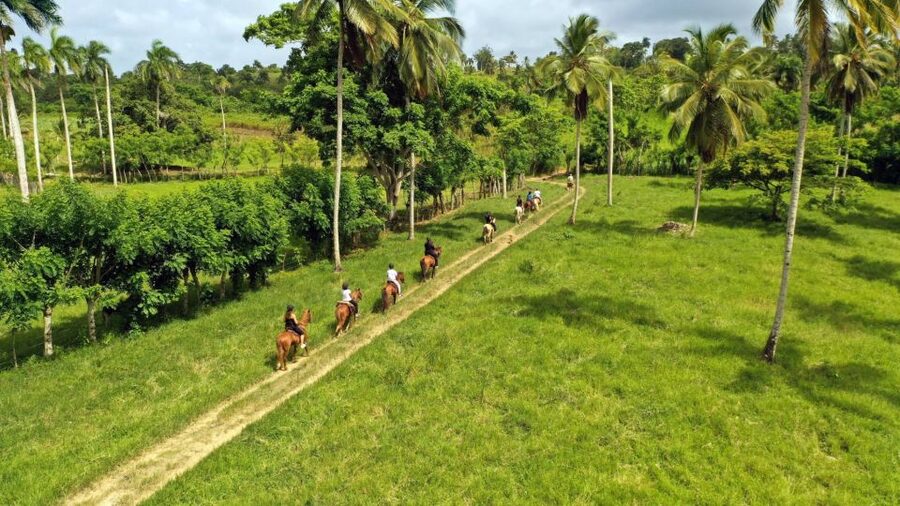 Punta Cana: Xploration Animal Park Bus Tour with Encounters - Languages, timing, and what to bring so your day stays easy