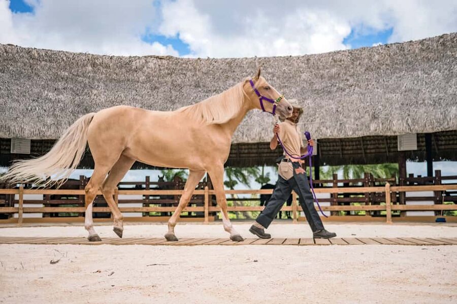 Punta Cana: Xploration Animal Park Bus Tour with Encounters - Who should book this (and who might not love it)