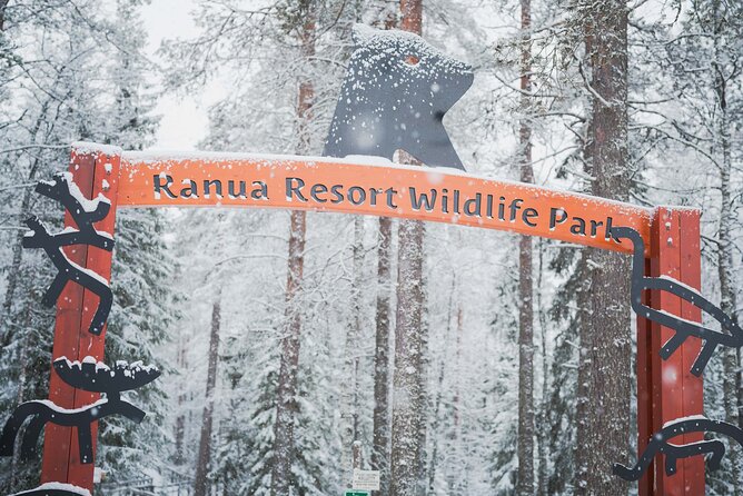 Ranua Wildlife Park Day: Visit the Arctic Animals - Getting From Rovaniemi to Ranua (and Staying On Time)