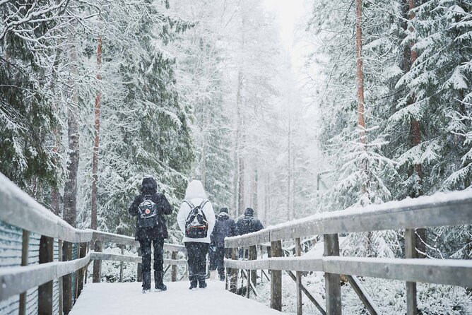 Ranua Wildlife Park Day: Visit the Arctic Animals - The Guided Walk Through Snowy Forest (The Part You’ll Remember)