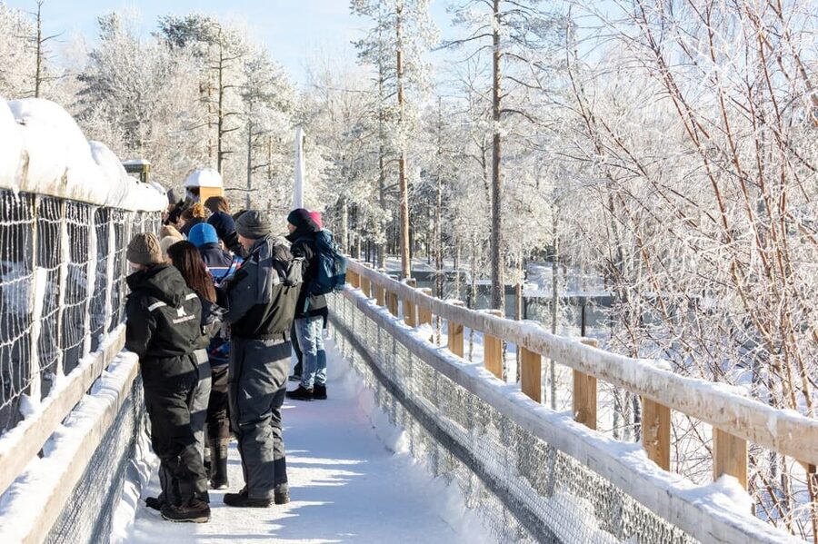 Ranua: Wildlife Park Entrance Ticket - What you’ll likely see: polar bear, lynx in snow, and the owls section