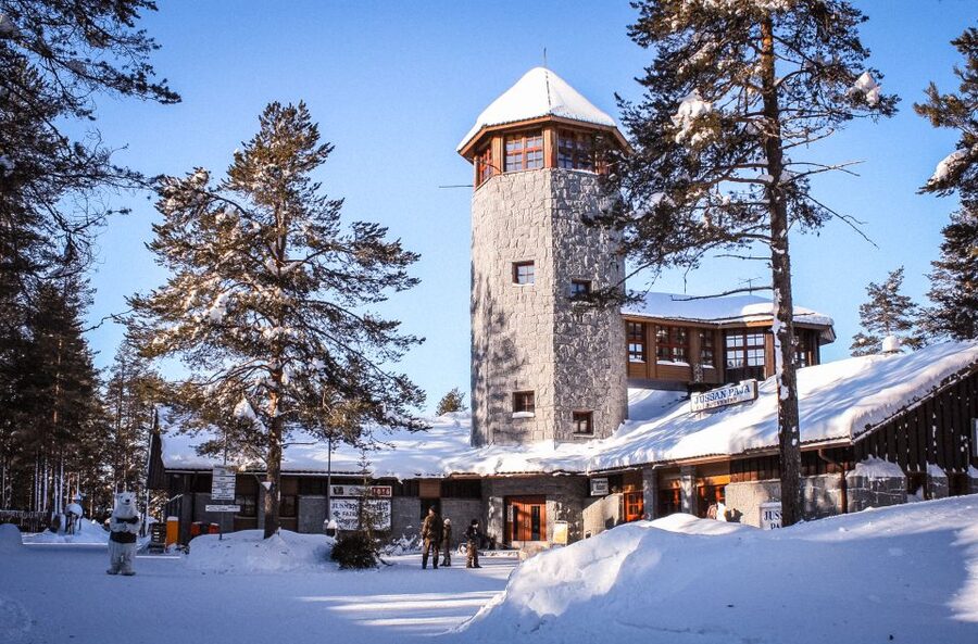 Ranua Wildlife Park Guided Tour from Rovaniemi - Key Points to Know Before You Go