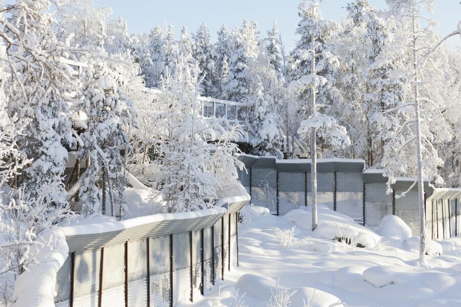 Ranua Wildlife Park Guided Tour from Rovaniemi - Coffee Break and Fazer Sweets: The Part That Keeps the Day Comfortable
